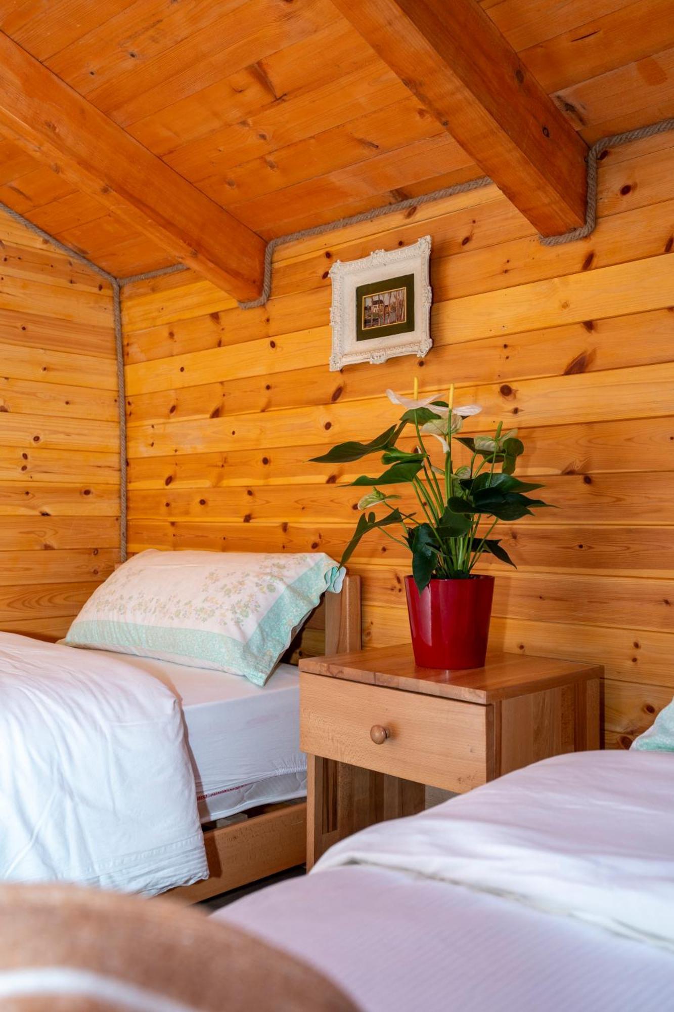 Bee Eco Guest House Moll' e Shoshit Exterior foto